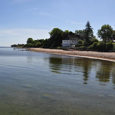 Daire Ostseele - Tosi