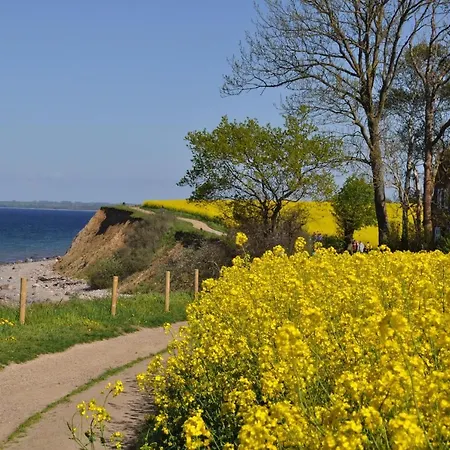 Ostseele - Tosi Daire *