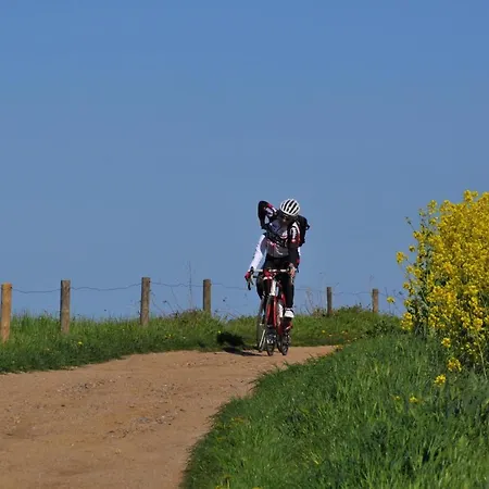 Ostseele - Tosi Daire